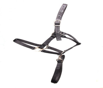 CABRESTODE SEDAESPECIAL